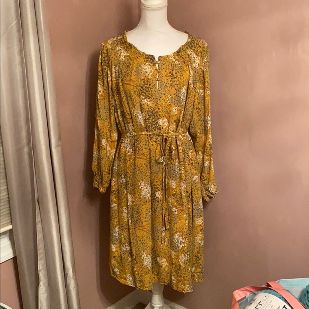 Plus size loft dress
